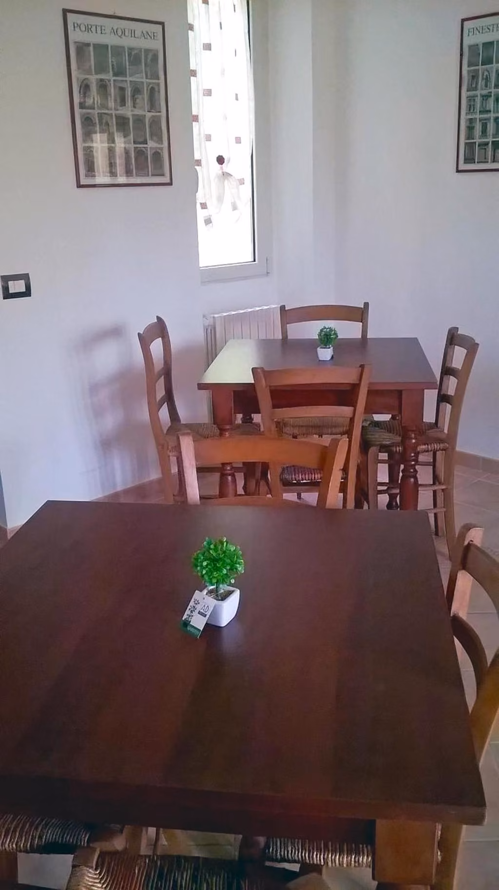 Tavolo di legno con piante nel cortile del B&B Porta Bazzano
